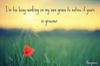 quote on I am too busy working on my own grass to notice if yours is greener