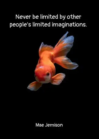 quote on never be limited by other people's limited imaginations