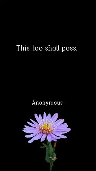 quote on this too shall pass