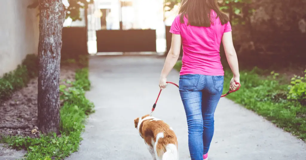 a lady walking the dog
