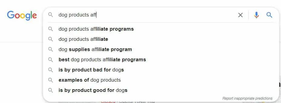 Google Auto Suggest