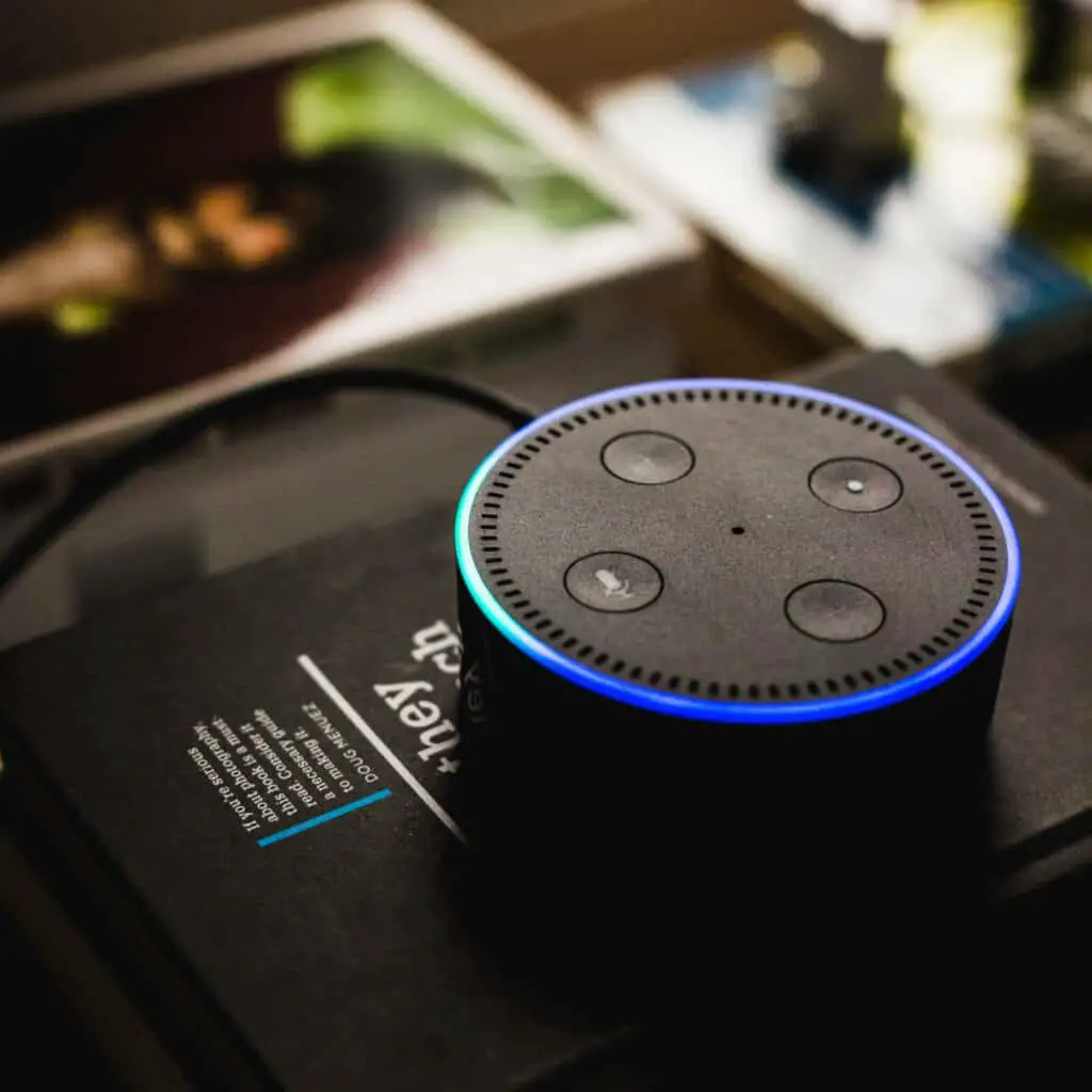 ecommerce latest trends - voice search